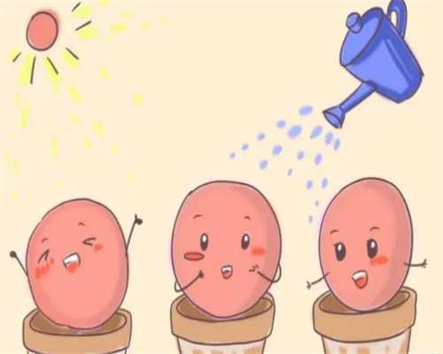 试管鲜胚移植成功率影响因素有哪些？鲜胚移植前女性的检查项目